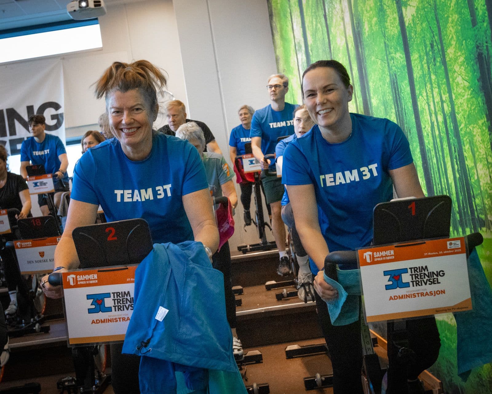 Bilde i bildegalleri