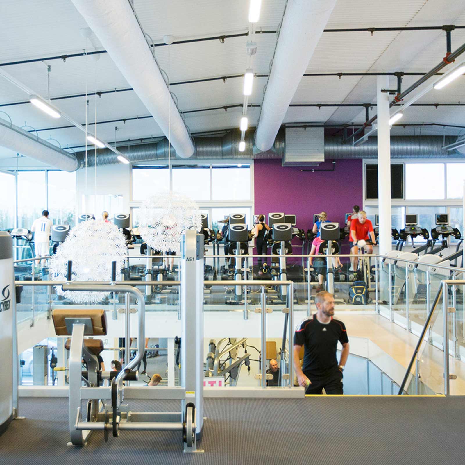 Bilde i bildegalleri