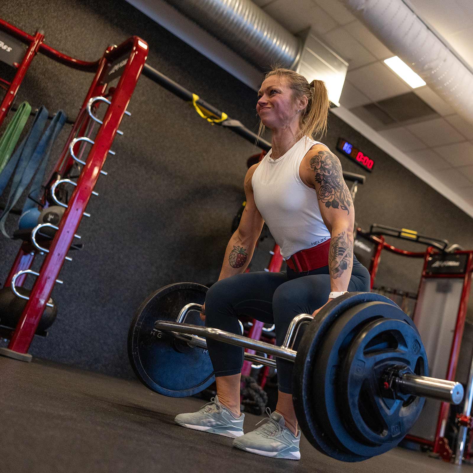 Bilde i bildegalleri