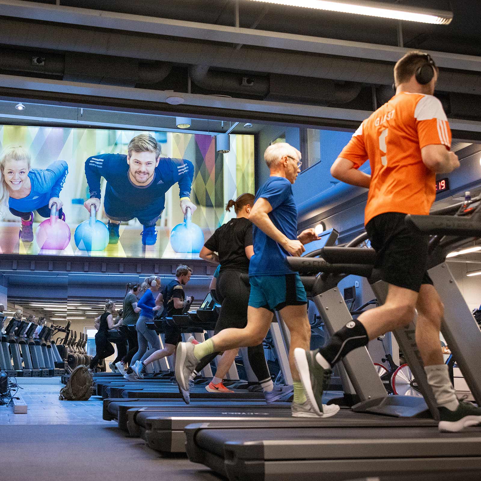 Bilde i bildegalleri