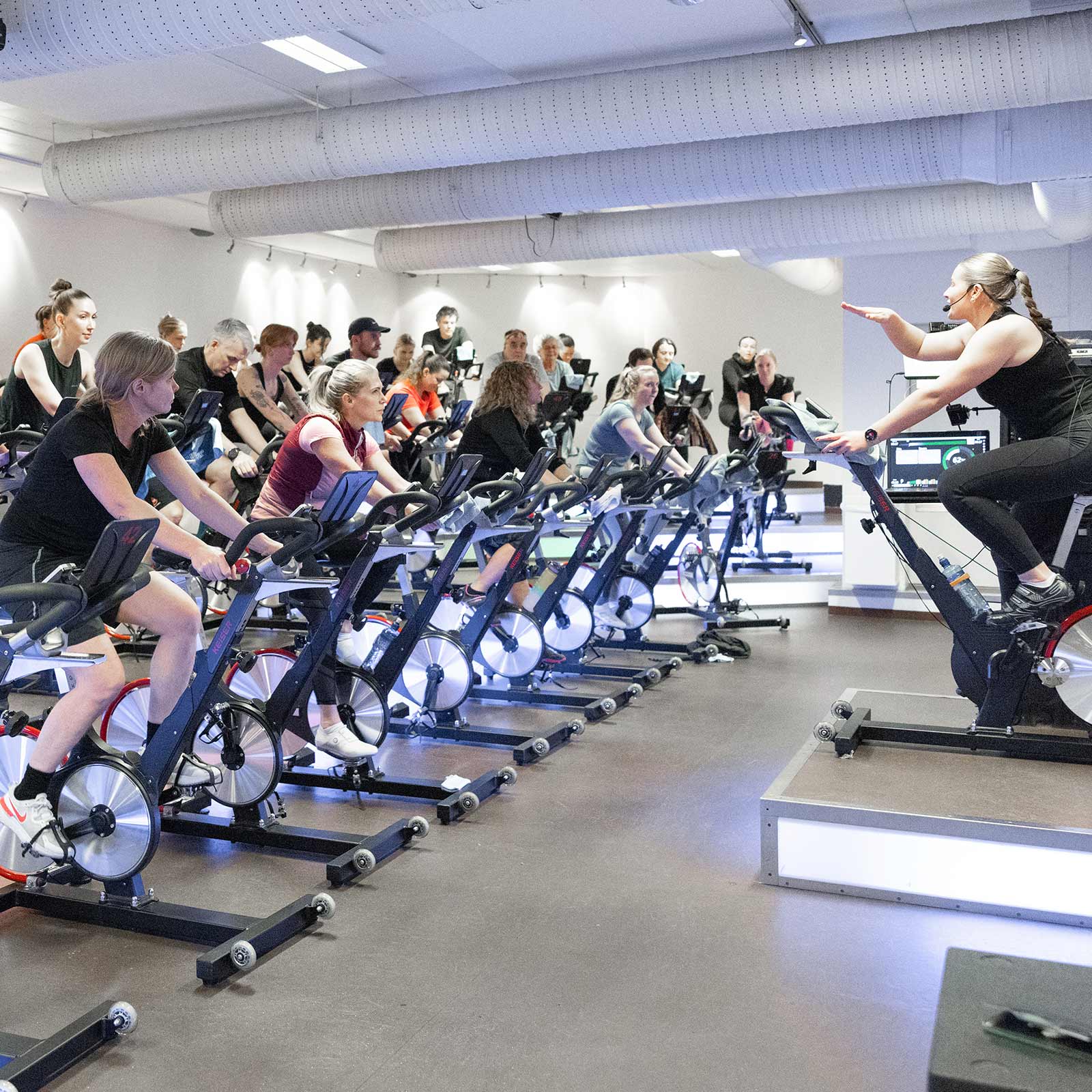 Bilde i bildegalleri