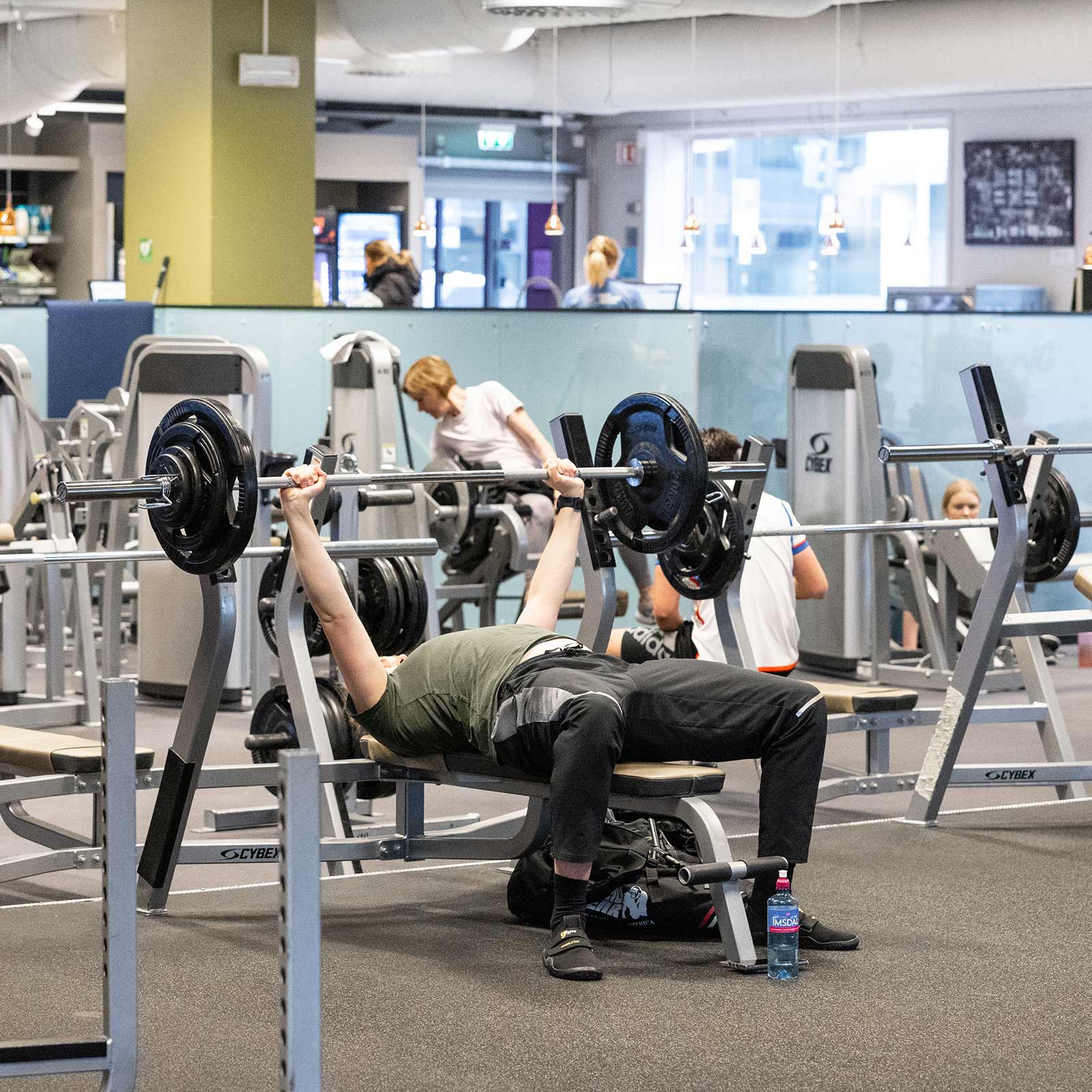 Bilde i bildegalleri