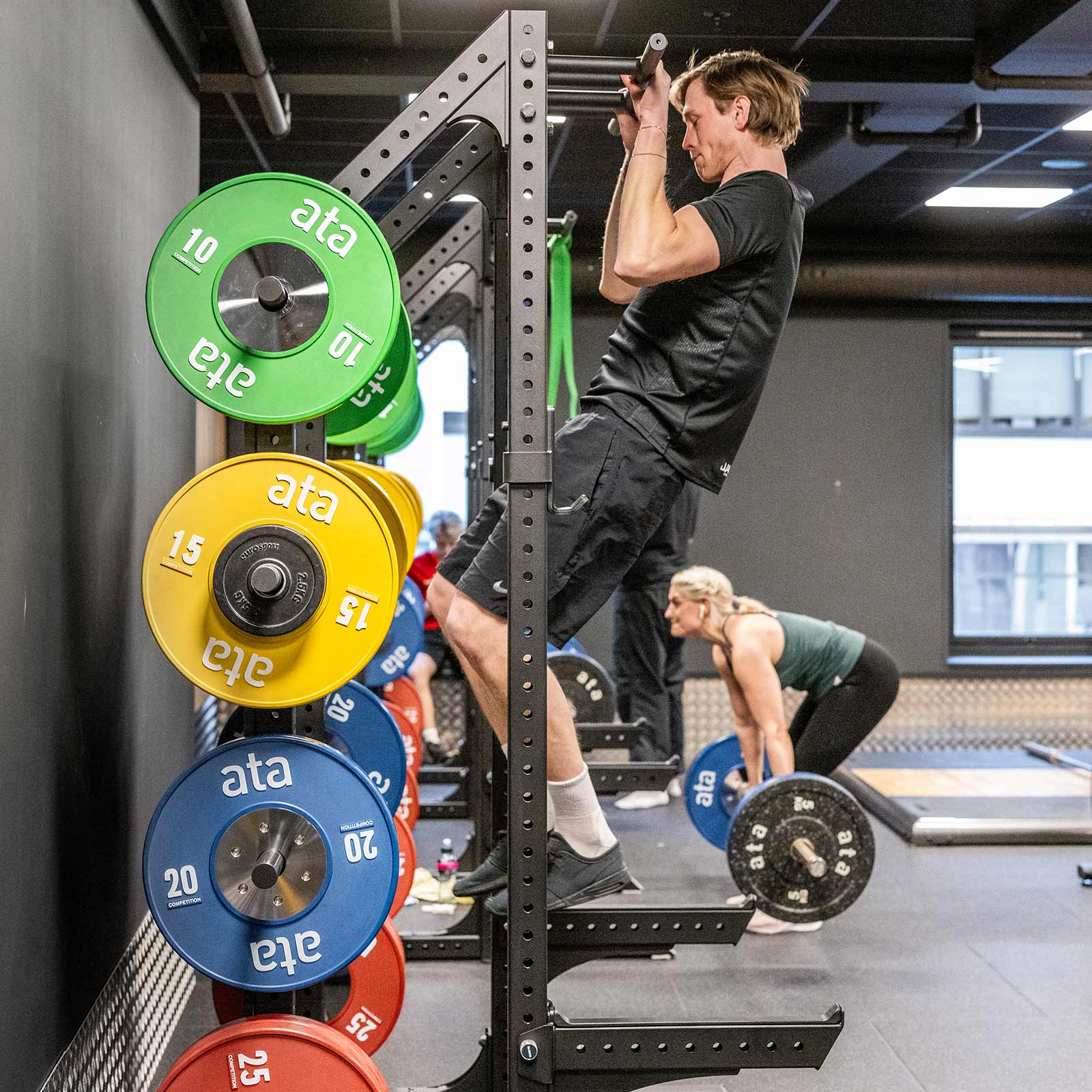 Bilde i bildegalleri