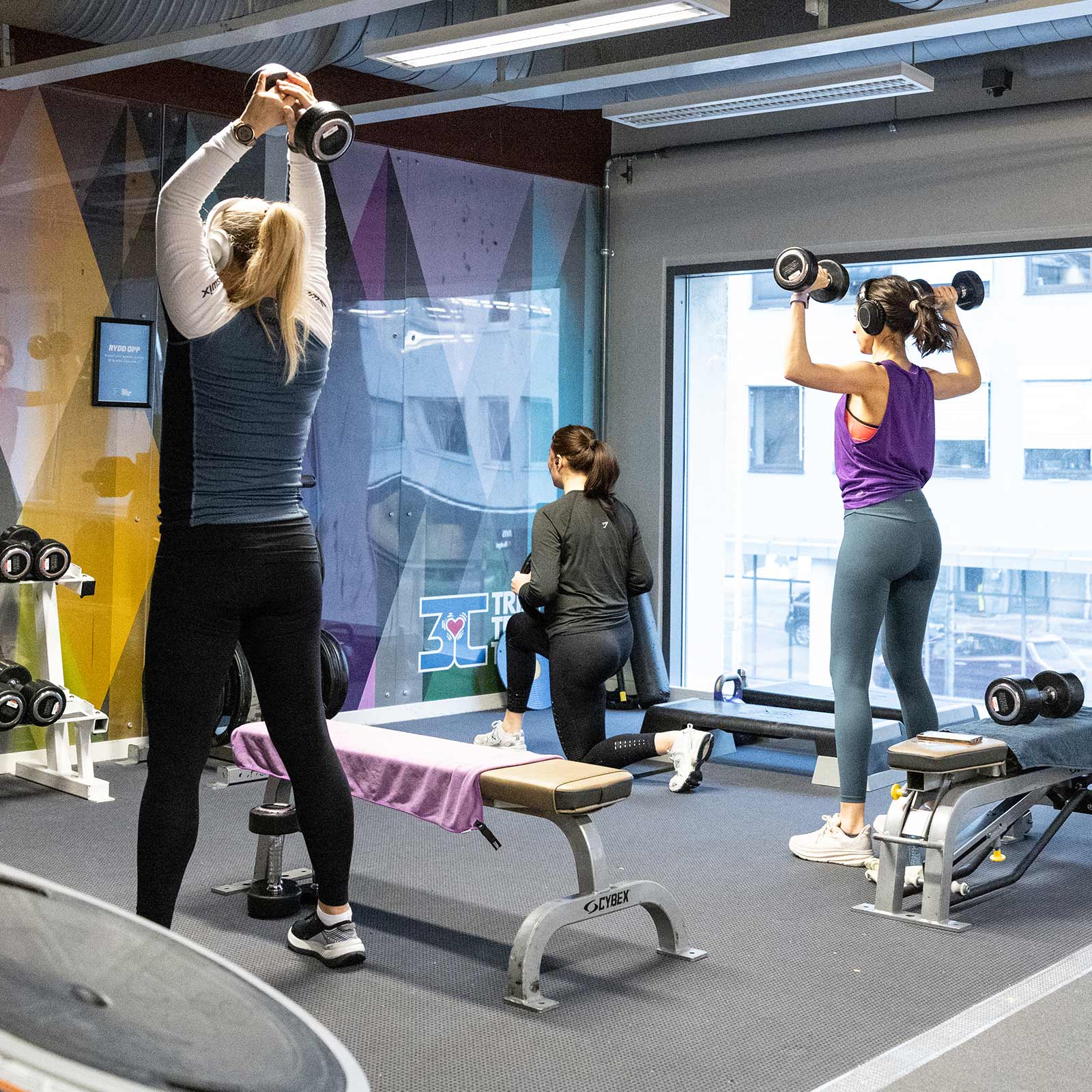 Bilde i bildegalleri