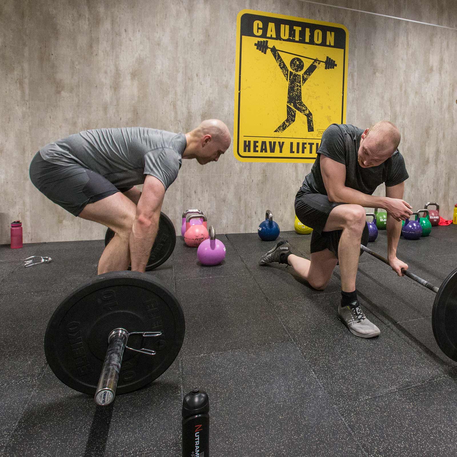 Bilde i bildegalleri