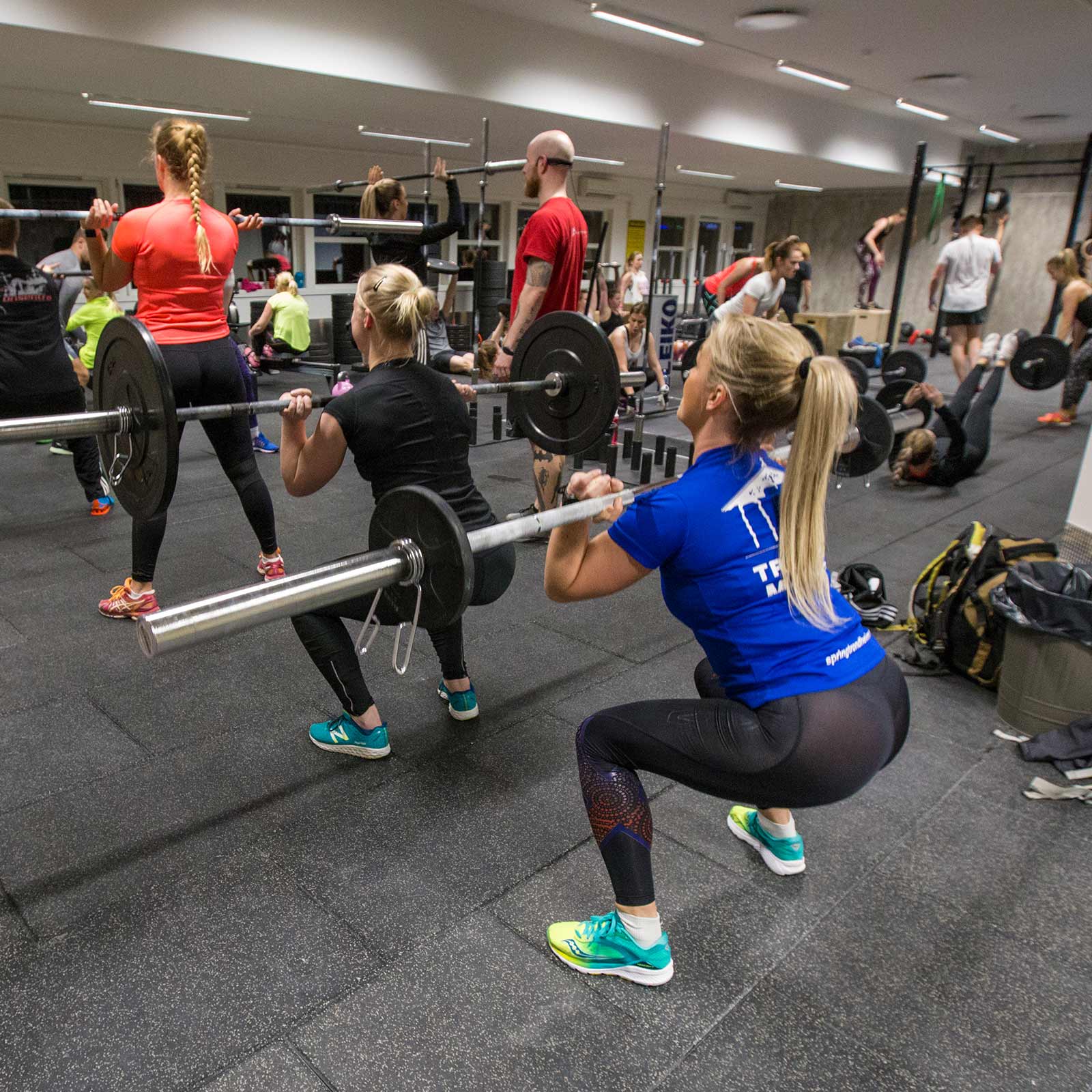 Bilde i bildegalleri