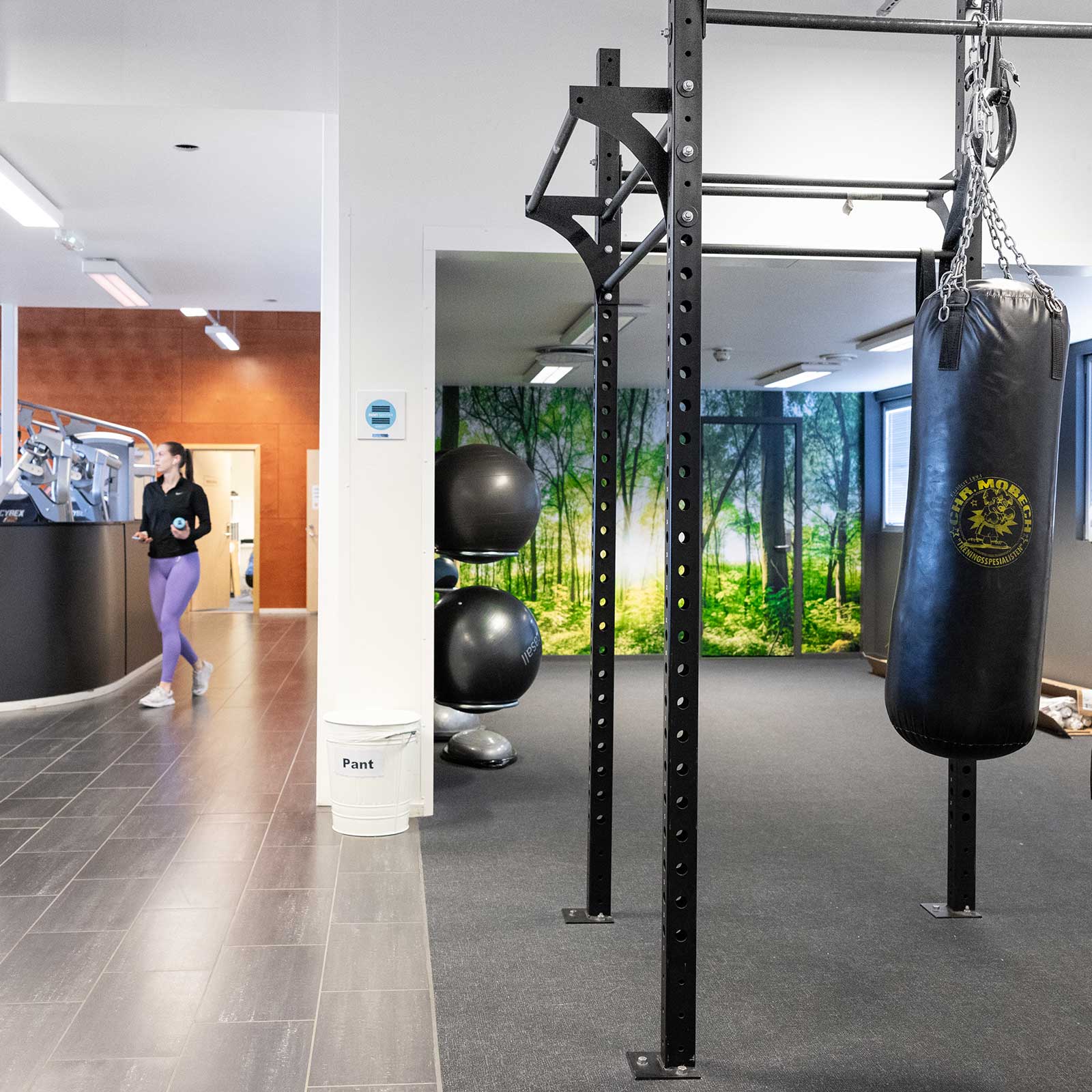 Bilde i bildegalleri