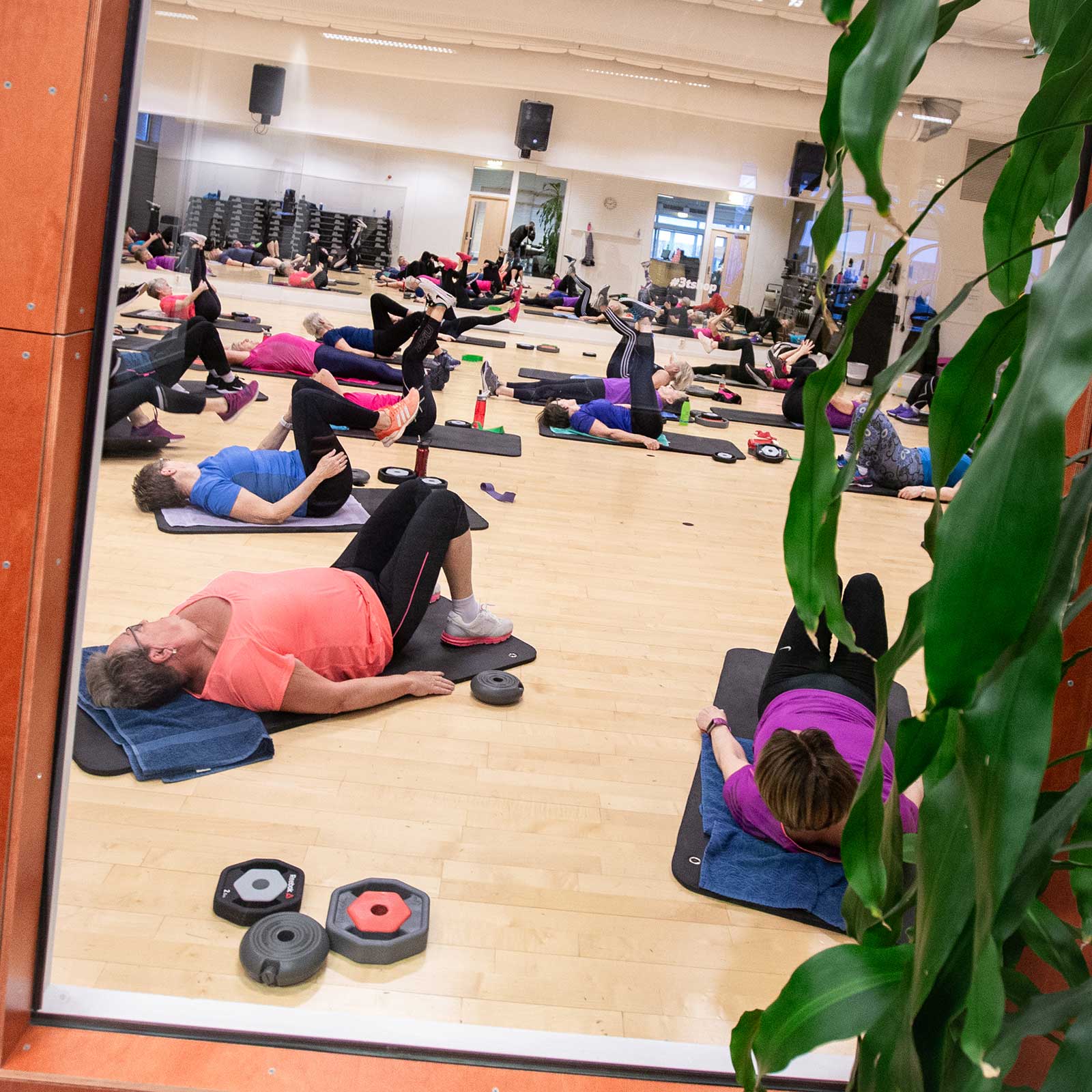 Bilde i bildegalleri