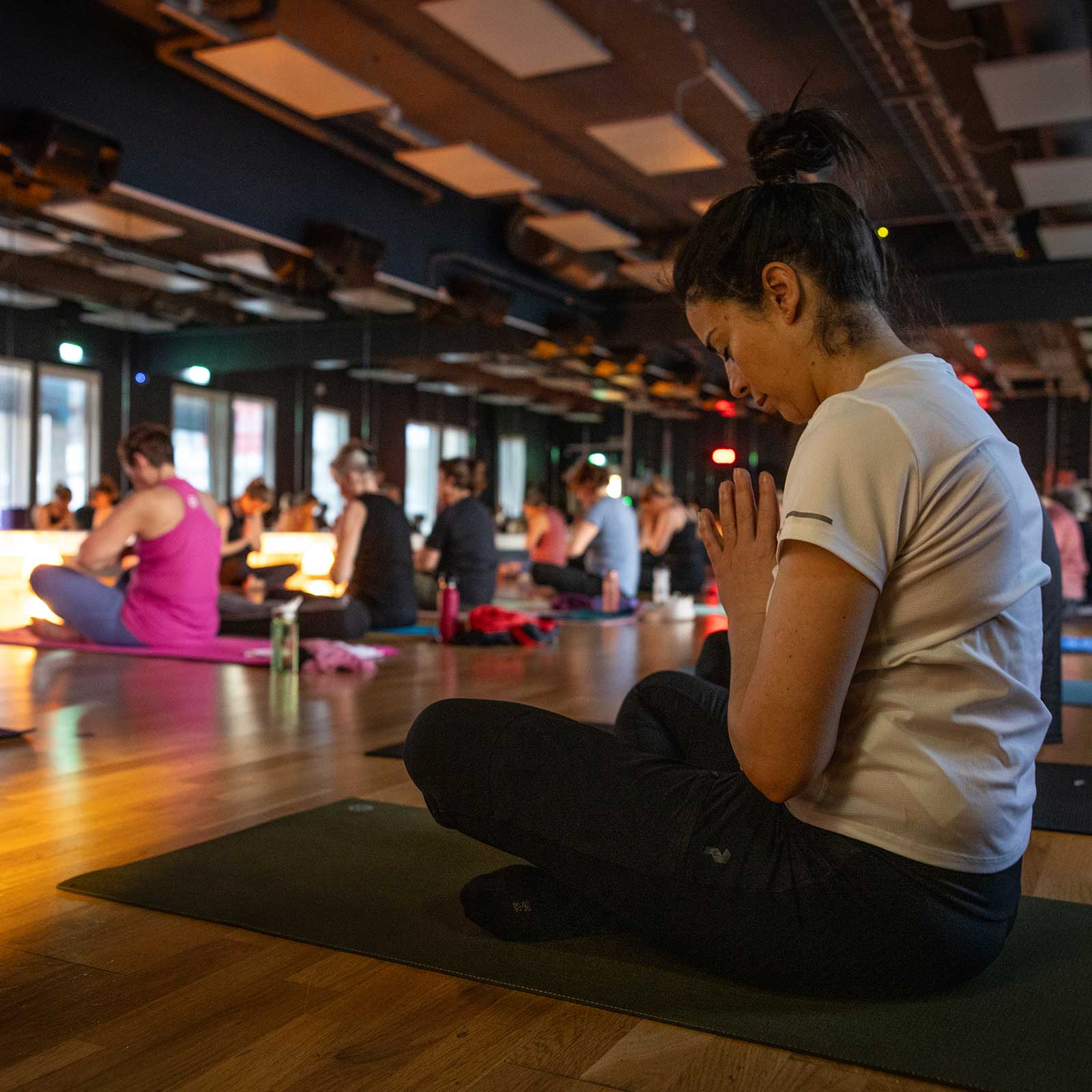 Bilde i bildegalleri