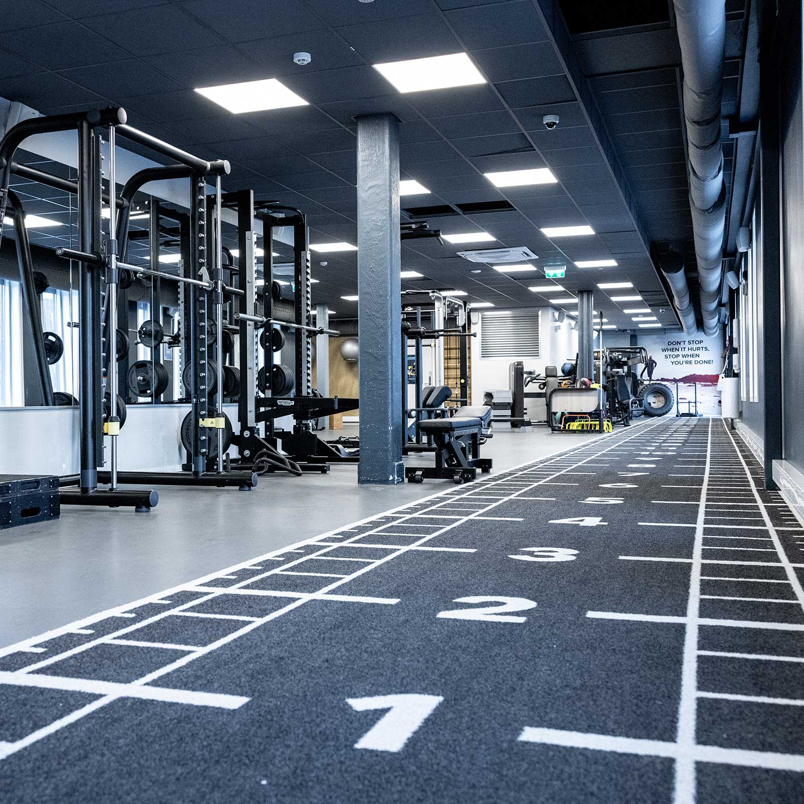 Bilde i bildegalleri