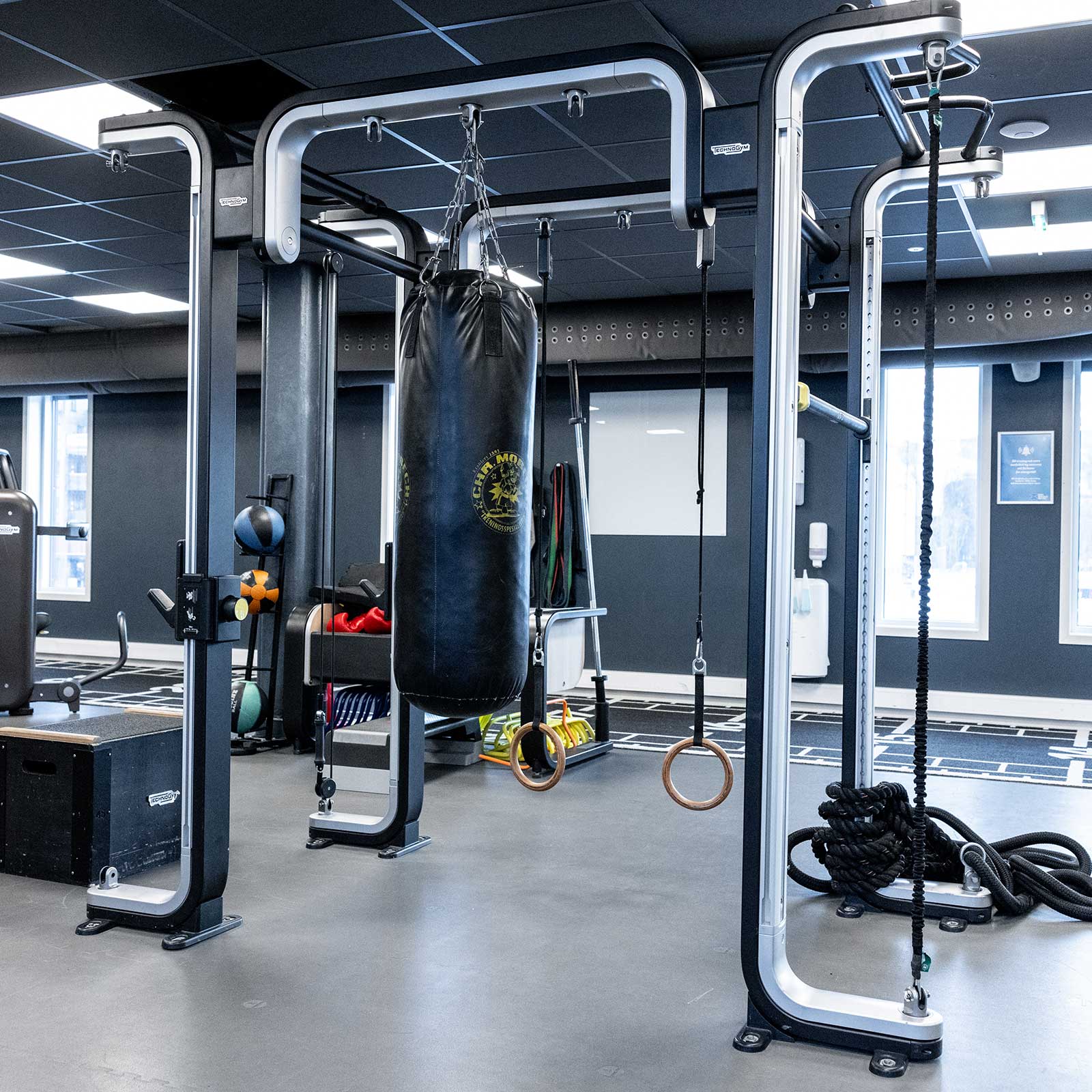 Bilde i bildegalleri