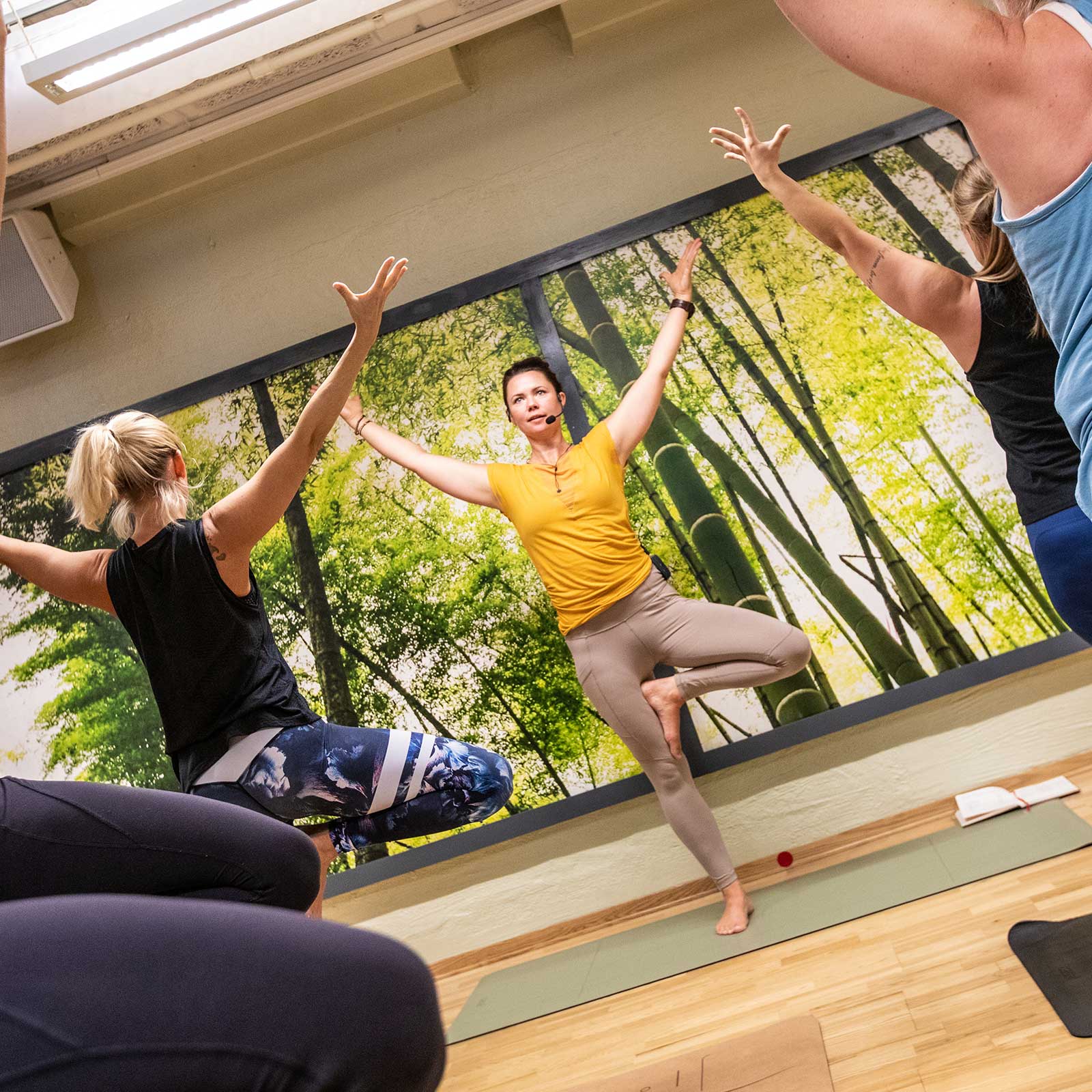 Bilde i bildegalleri