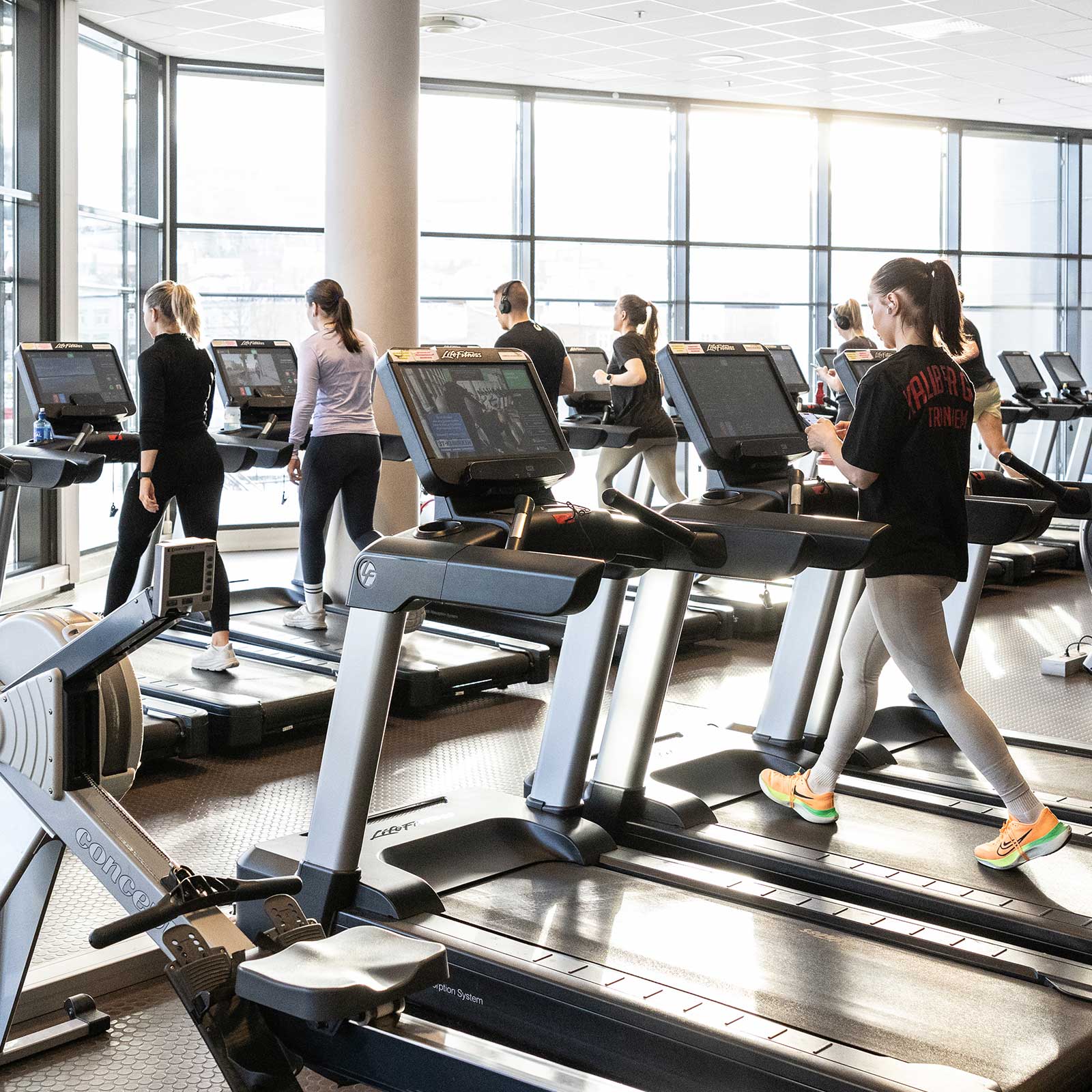 Bilde i bildegalleri