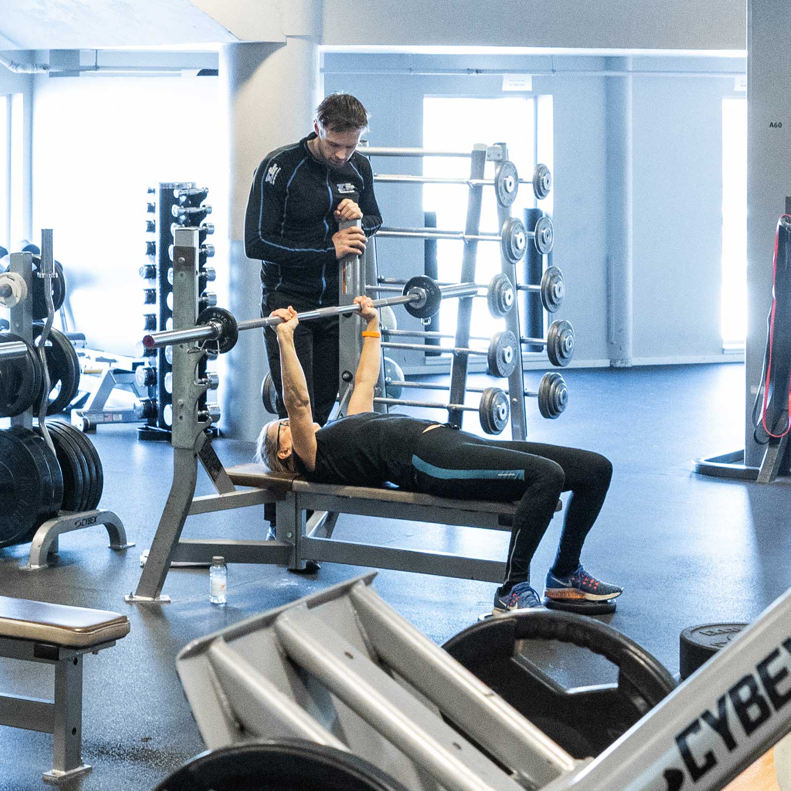 Bilde i bildegalleri