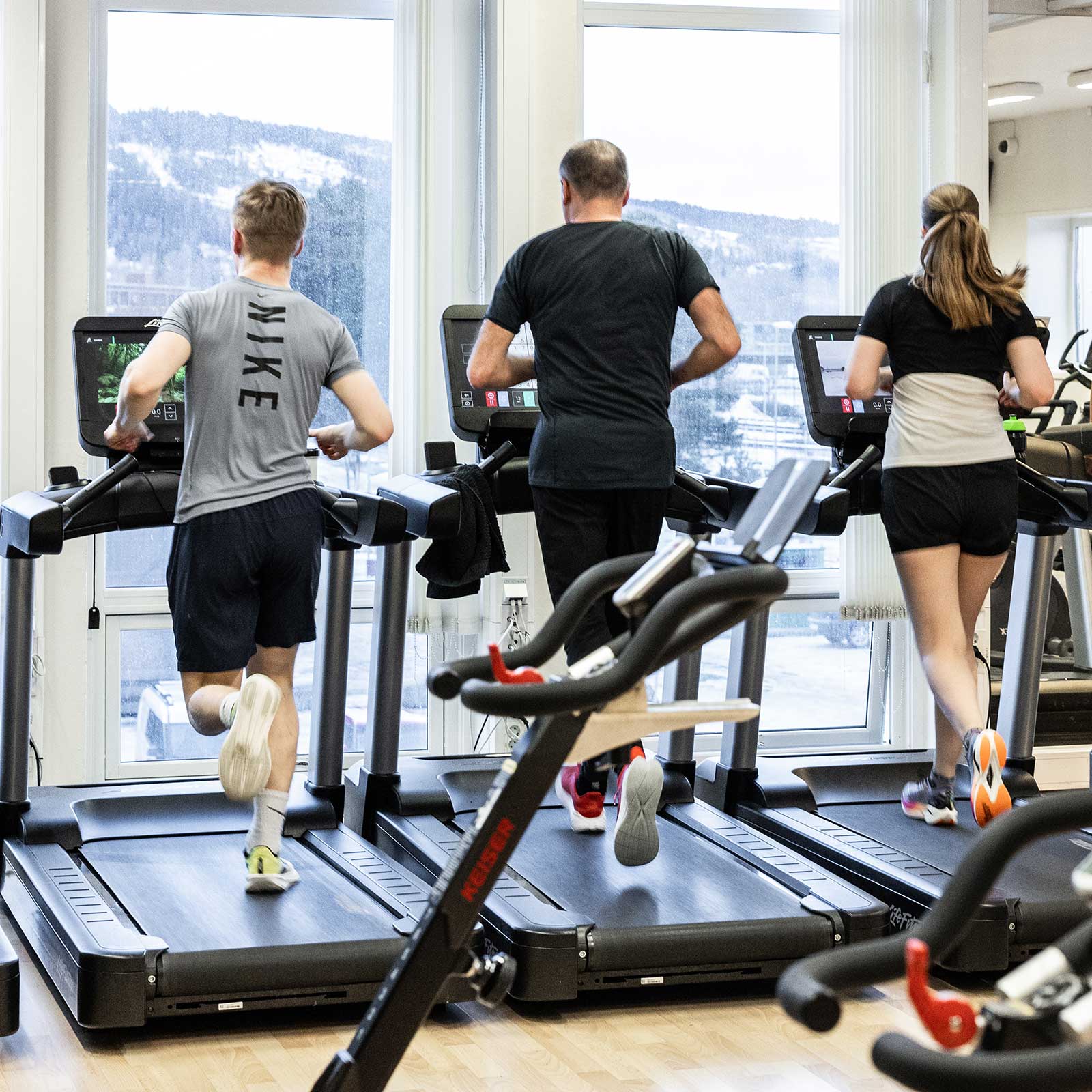 Bilde i bildegalleri