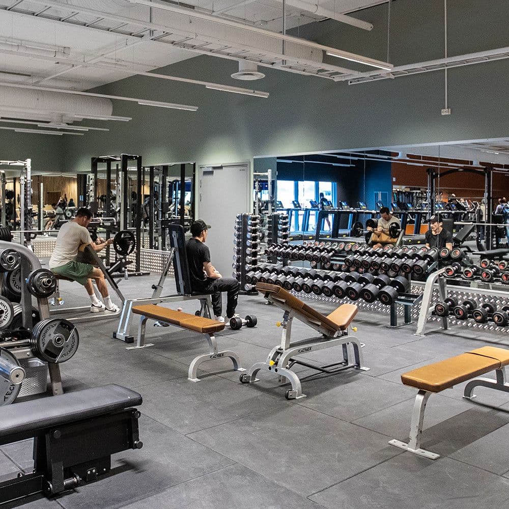 Bilde i bildegalleri