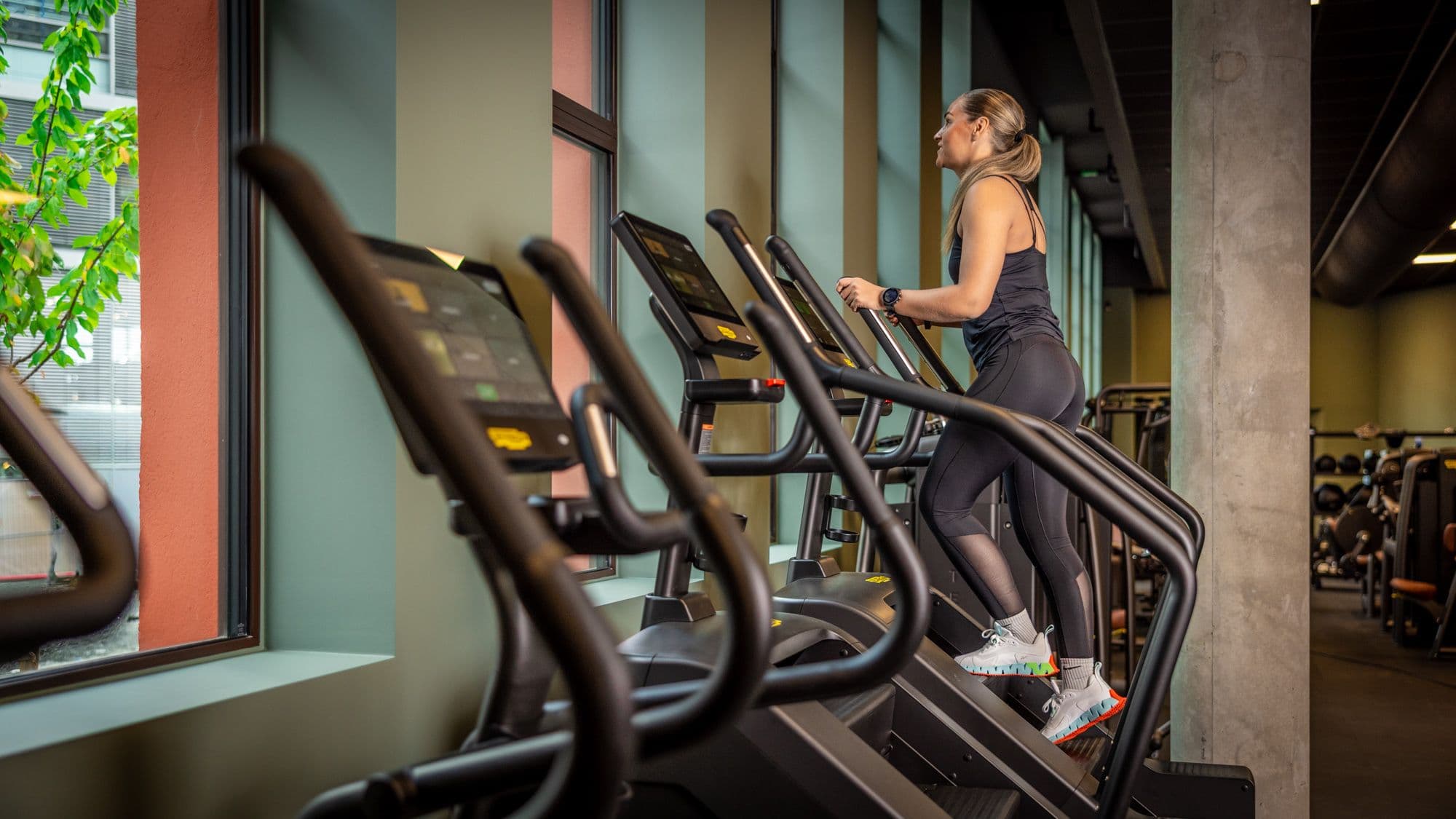 Bilde i bildegalleri