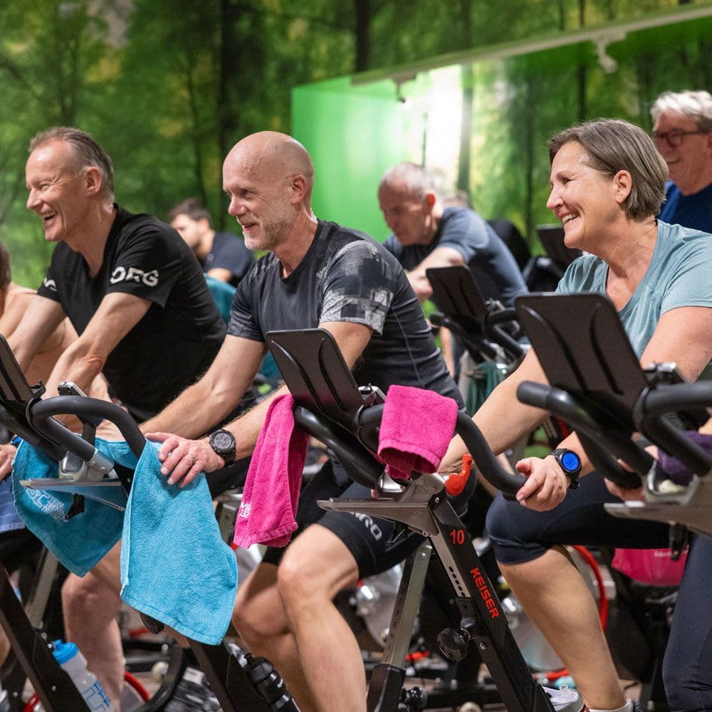 Bilde i bildegalleri