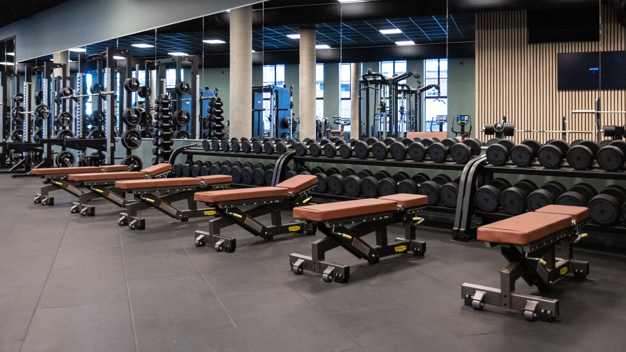 Bilde i bildegalleri