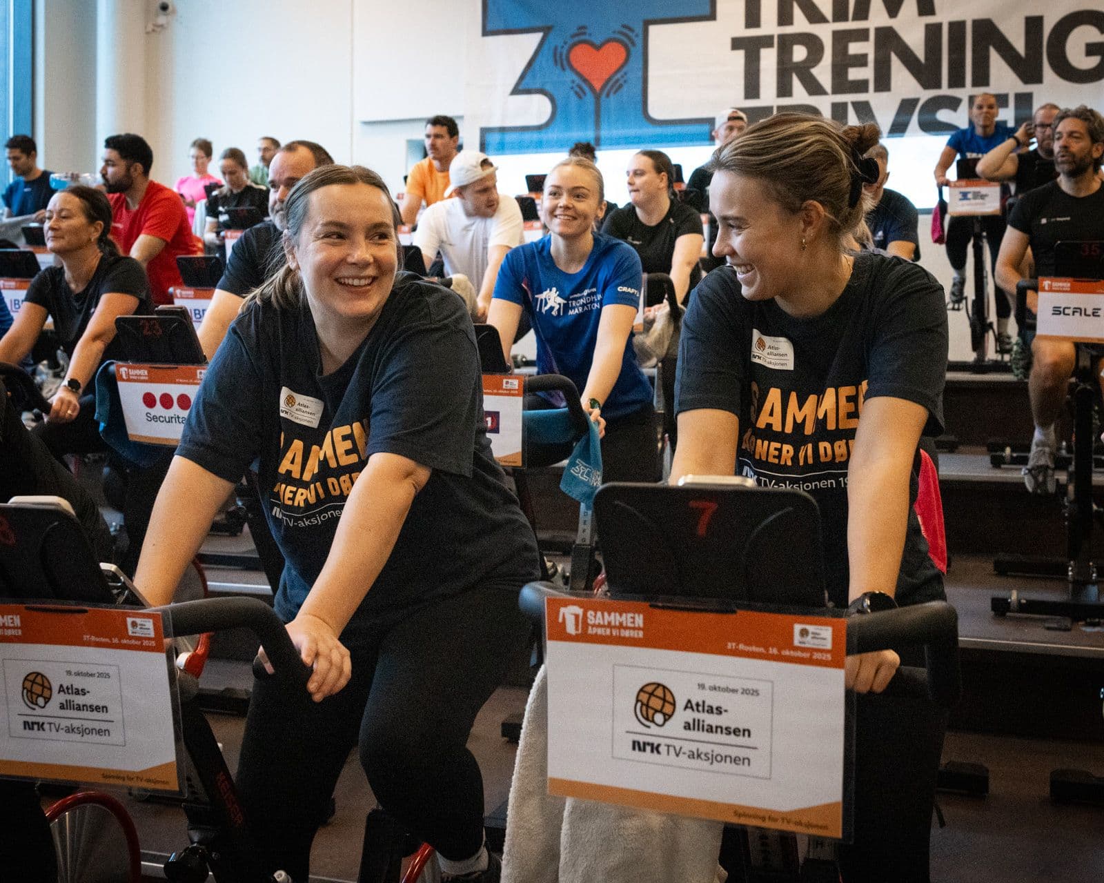 Bilde i bildegalleri